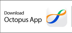 Download Octopus App
