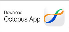 Download Octopus App