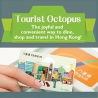 Tourist Octopus (Sold version)